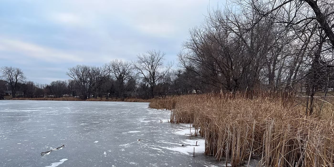 The frozen winter shoreline of Wakefield Lake in Maplewood, Minnesota.